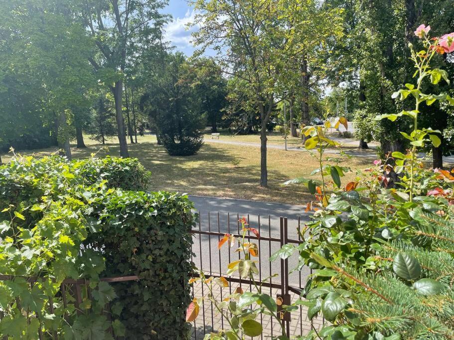 Apartament Bajecne Ve S Bazenem A Terasou. Praga